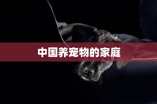 中國養寵物的家庭