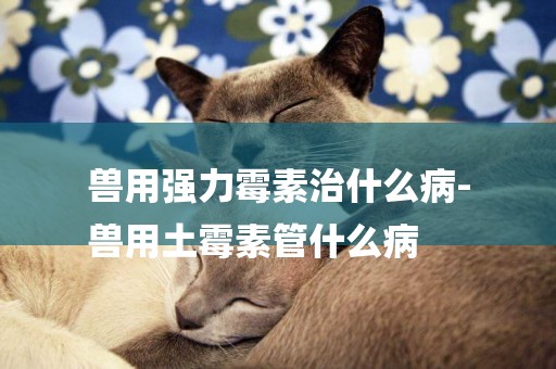 獸用強力霉素治什么病-
獸用土霉素管什么病
