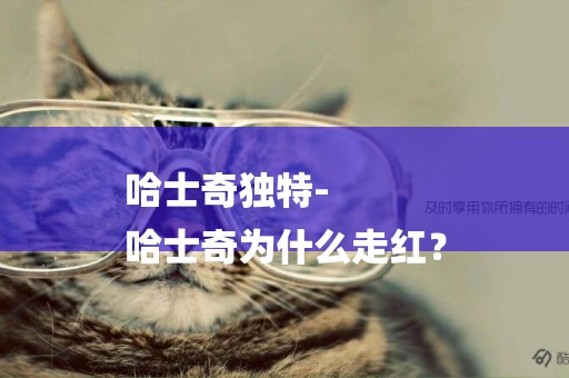 哈士奇獨特-
哈士奇為什么走紅？