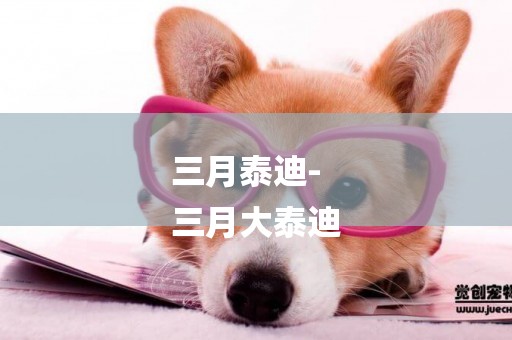 三月泰迪-
三月大泰迪