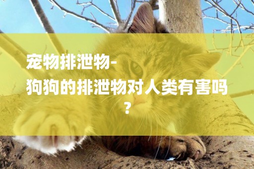 寵物排泄物-
狗狗的排泄物對人類有害嗎?