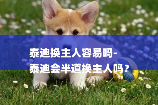泰迪換主人容易嗎-
泰迪會半道換主人嗎？