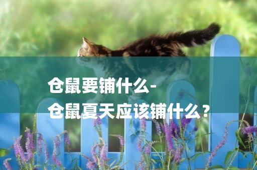倉鼠要鋪什么-
倉鼠夏天應該鋪什么？