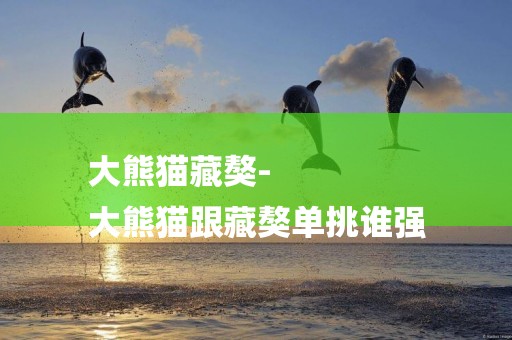 大熊貓藏獒-
大熊貓跟藏獒單挑誰強