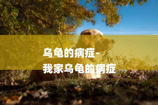 烏龜的病癥-
我家烏龜的病癥