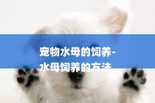 寵物水母的飼養-
水母飼養的方法