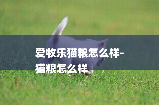 愛牧樂貓糧怎么樣-
貓糧怎么樣