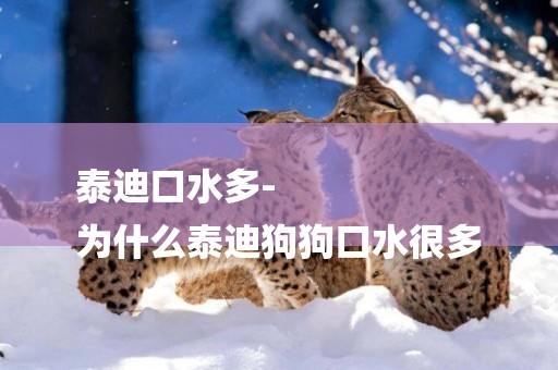 泰迪口水多-
為什么泰迪狗狗口水很多