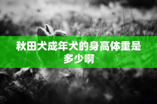 秋田犬成年犬的身高體重是多少啊