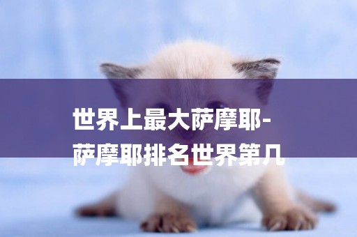 世界上最大薩摩耶-
薩摩耶排名世界第幾