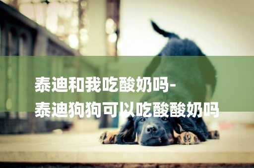 泰迪和我吃酸奶嗎-
泰迪狗狗可以吃酸酸奶嗎