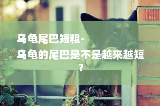 烏龜尾巴短粗-
烏龜的尾巴是不是越來越短？