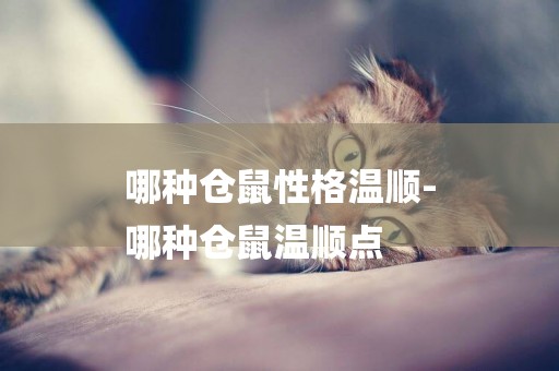 哪種倉鼠性格溫順-
哪種倉鼠溫順點