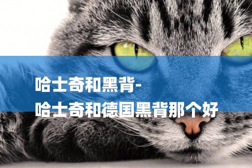 哈士奇和黑背-
哈士奇和德國黑背那個好