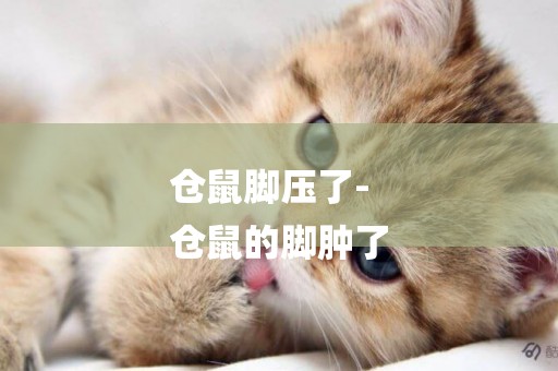倉鼠腳壓了-
倉鼠的腳腫了