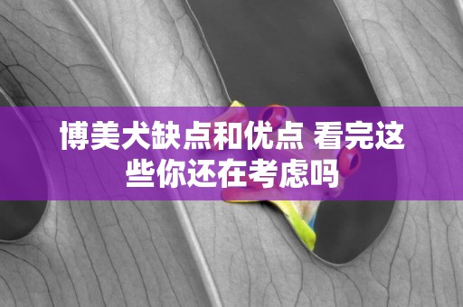博美犬缺點和優點 看完這些你還在考慮嗎 博美犬缺點和優點 看完這些你還在考慮嗎