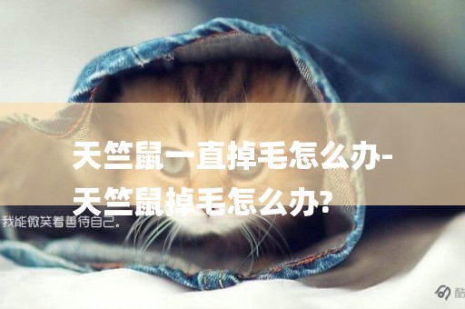 天竺鼠一直掉毛怎么辦-
天竺鼠掉毛怎么辦?
