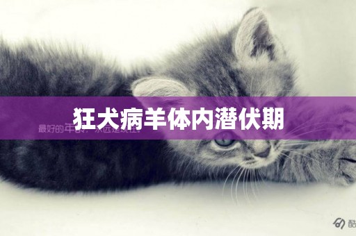 狂犬病羊體內潛伏期