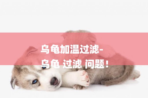 烏龜加溫過濾-
烏龜 過濾 問題！