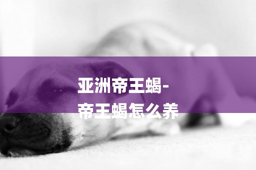 亞洲帝王蝎-
帝王蝎怎么養