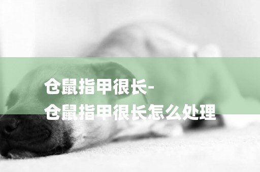 倉鼠指甲很長-
倉鼠指甲很長怎么處理