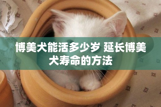 博美犬能活多少歲 延長博美犬壽命的方法
