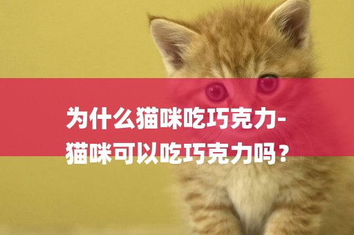 為什么貓咪吃巧克力-
貓咪可以吃巧克力嗎？