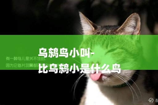 烏鶇鳥小叫-
比烏鶇小是什么鳥