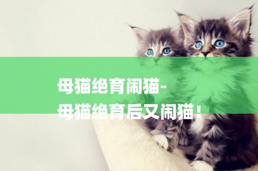 母貓絕育鬧貓-
母貓絕育后又鬧貓！