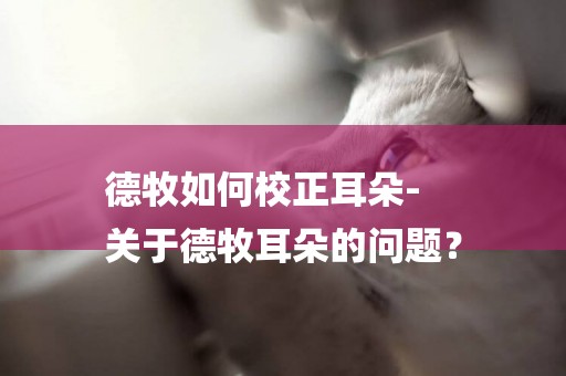 德牧如何校正耳朵-
關于德牧耳朵的問題？