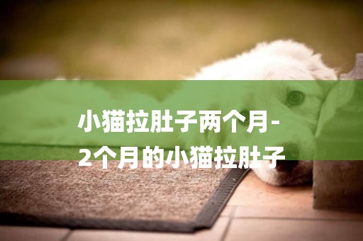 小貓拉肚子兩個月-
2個月的小貓拉肚子