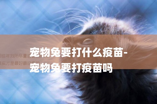 寵物兔要打什么疫苗-
寵物兔要打疫苗嗎