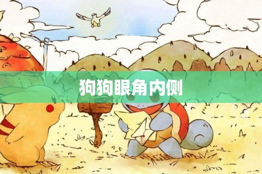 狗狗眼角內側