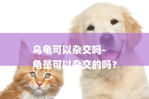 烏龜可以雜交嗎-
龜是可以雜交的嗎？