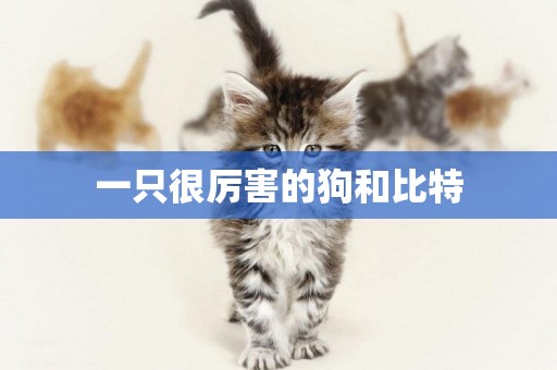 一只很厲害的狗和比特