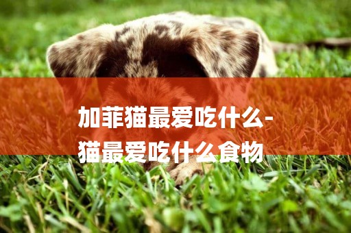 加菲貓最愛吃什么-
貓最愛吃什么食物