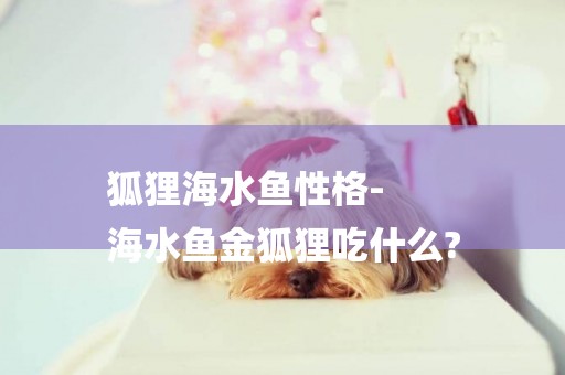 狐貍海水魚性格-
海水魚金狐貍吃什么?