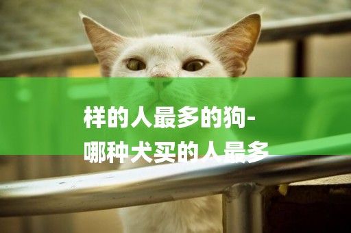 樣的人最多的狗-
哪種犬買的人最多
