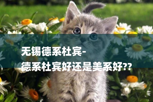 無錫德系杜賓-
德系杜賓好還是美系好??