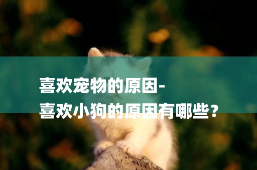 喜歡寵物的原因-
喜歡小狗的原因有哪些？