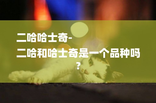 二哈哈士奇-
二哈和哈士奇是一個品種嗎?