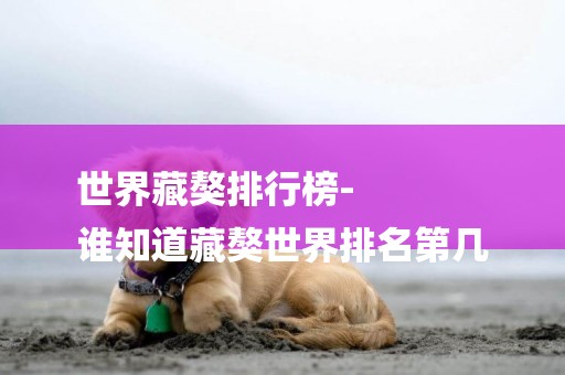世界藏獒排行榜-
誰知道藏獒世界排名第幾