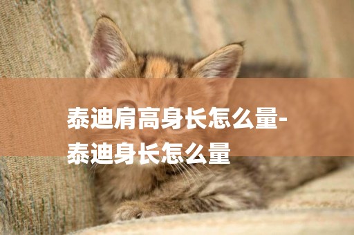 泰迪肩高身長怎么量-
泰迪身長怎么量