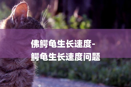 佛鱷龜生長速度-
鱷龜生長速度問題