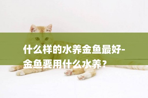什么樣的水養金魚最好-
金魚要用什么水養？