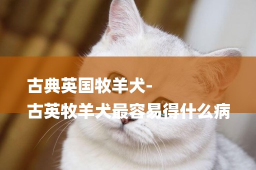 古典英國牧羊犬-
古英牧羊犬最容易得什么病