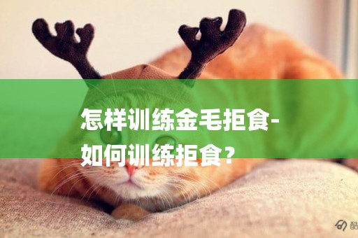 怎樣訓練金毛拒食-
如何訓練拒食？
