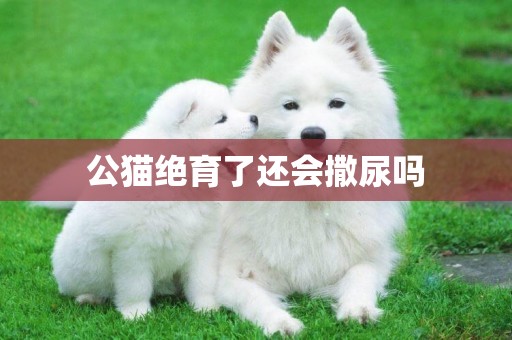 公貓絕育了還會撒尿嗎