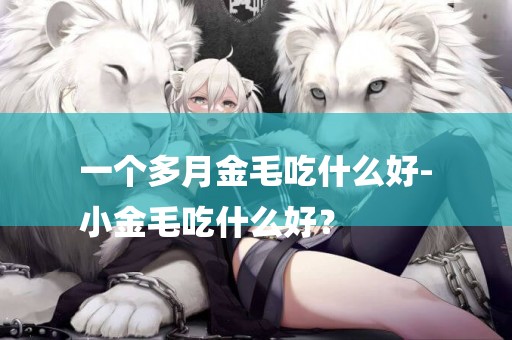 一個多月金毛吃什么好-
小金毛吃什么好？