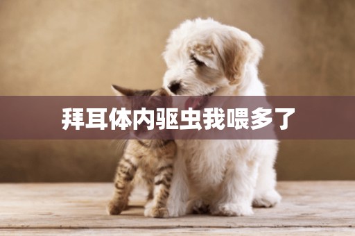 拜耳體內驅蟲我喂多了